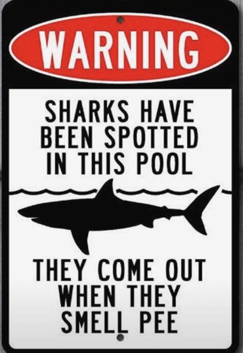 Pin By Sheryl Lambes On Cricut Decal Ideas Pool Signs