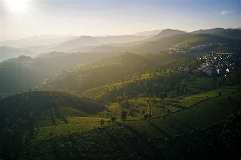 Vista Aérea Da Bela Plantação De Chá Ao Pôr Do Sol Nas Montanhas
