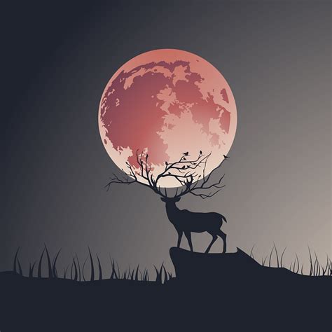 Stag Deer Moon Free Image On Pixabay