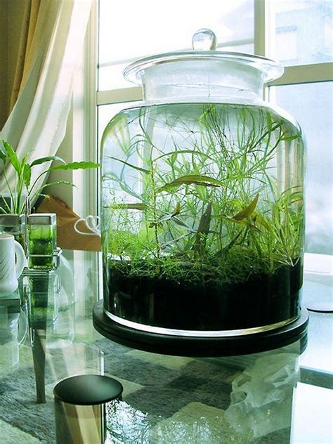 25 Incredible Indoor Water Garden Design And Decor Ideas For Small Home