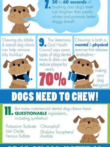 12 Crucial Facts About Your Canines Canines Infographic Natural Dog