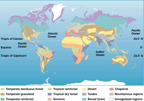 Simple Biomes Of The Earth 715 X 500 MapPorn Biomes Boreal