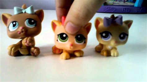 All Of My Lps Cats Youtube