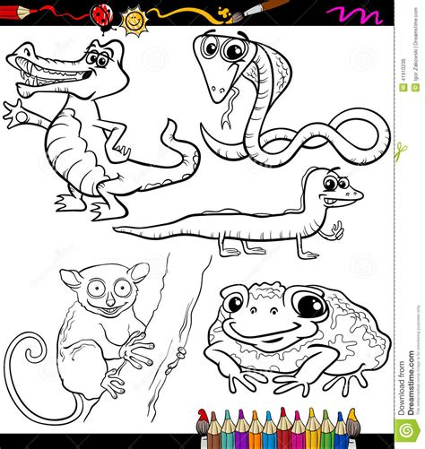 These printables are mostly black and white so they will save ink when printing. Animals Set Cartoon Coloring Book Stock Vector ...