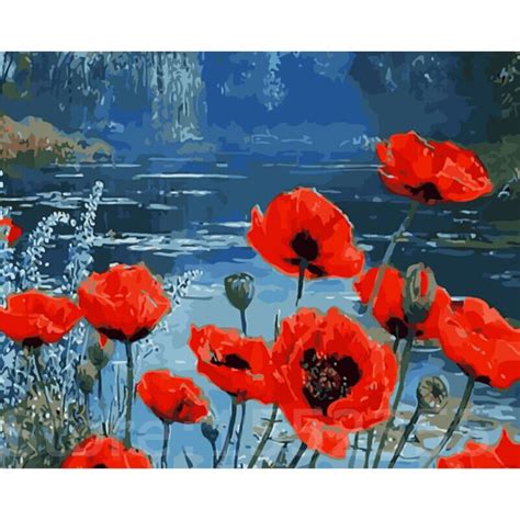 Poppies Flowers Diy Oil Painting By Numbers On Canvas 40x50cm Frameless