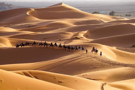 Sahara desert tours, camel treks, day trips and so much more at morocco excursions company. 2 Nights camel trekking in Merzouga desert | Marrakech ...
