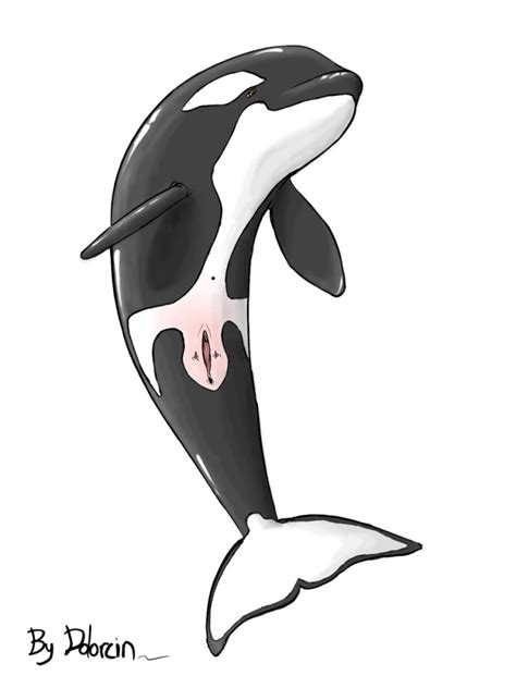 Rule 34 2008 Anatomically Correct Cetacean Dolorcin Female Feral