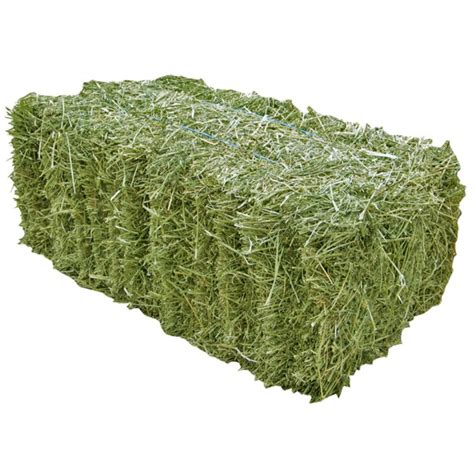 Timothy Hay Large Square Bale 3 Ft X 3 Ft X 6 Ft