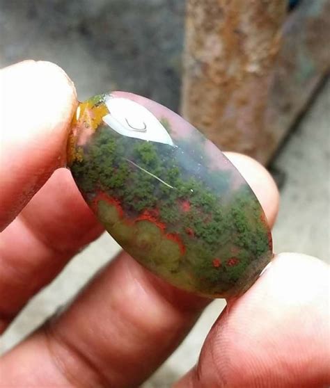 Pin by Bernie Bentsen on plume | Stone, Moss agate, Moss