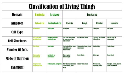 Biological Classification Worksheet Five Kingdom System Answ