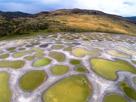 Spotted Lake In British Columbia What It Is And How To Get There