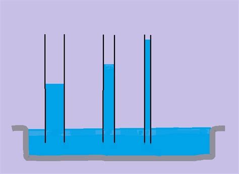 Capillary Action Of Water