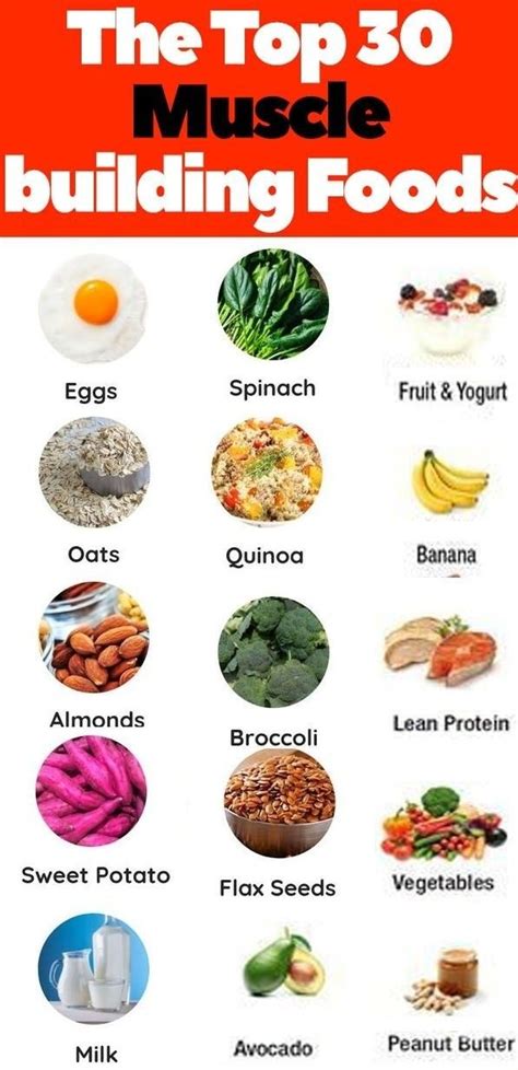 Top Muscle Building Foods