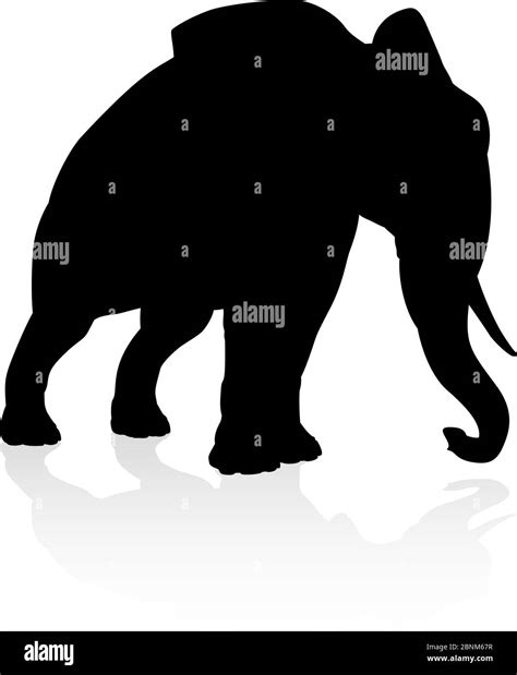 Silueta De Elefante Imagen Vector De Stock Alamy