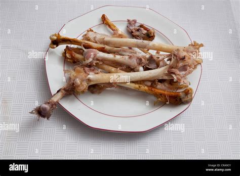 Christmas Turkey Bones Stock Photo Alamy