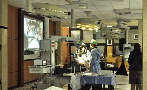 Asad C Laboratorium Anatomi Berkelas Dunia Universitas Airlangga