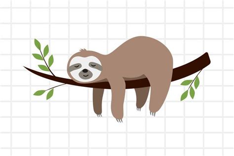 Cute Cartoon Sloth Sleeping On A Branch Svg Png Eps Ai 654042