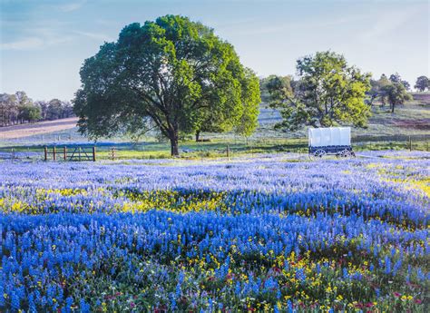 15 Best Things To Do In Texas Hill Country You Shouldnt Miss Texas