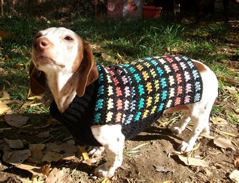 Crochet Dog Sweater Rainbow Coat Pdf By Copper Llama Craftsy
