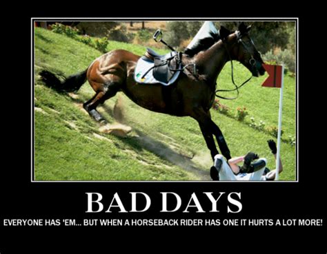43 Top Funny Horse Memes Funny Pictures