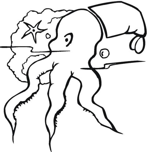 octopus coloring pages  kids updated