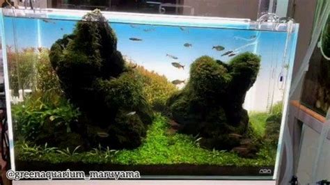 Making stones cliff aquascape decoration using lava rock and moss which will be placed in the corner of the fish tank to hide inlet and outlet of the diy. Nano Tank Set Up Using Lava Rock as Hardscapes | Aquarium ...