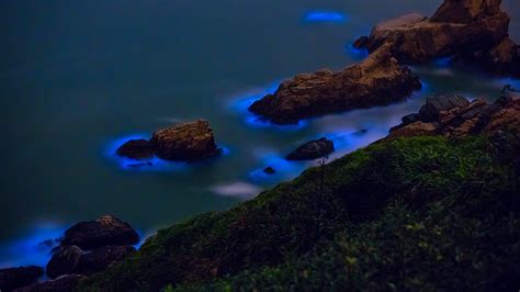 必应美图壁纸：台湾妈祖群岛沿岸的发光藻类 20190409 必应壁纸 中文搜索引擎指南网