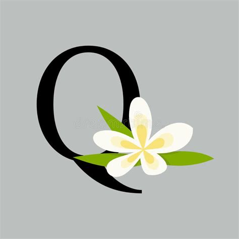 Beauty Logo Initial Q Flower Stock Vector Illustration Of Alphabet