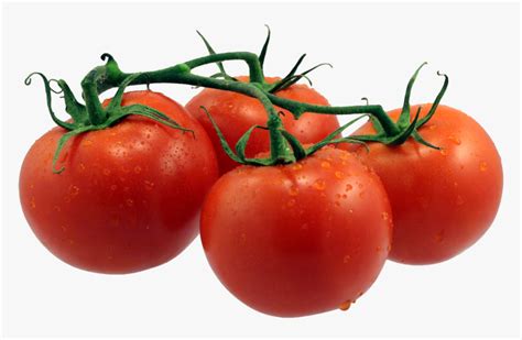 Tomatoes Png Single Fruits And Vegetables Transparent Png