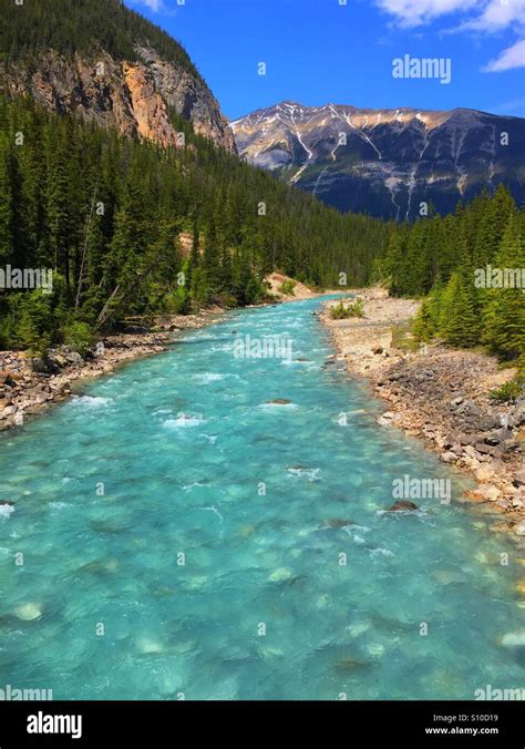 Yoho River In Yoho National Park Bc Canada Stock Photo Alamy