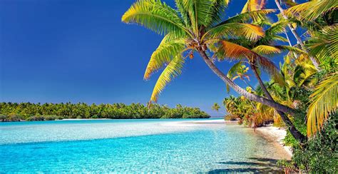 Cook Islands Beach Palm Trees - Free photo on Pixabay