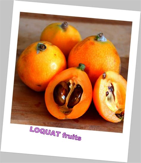 They tend to be a bit smaller than other types of oranges, with a thick, pitted skin that may or may not. Loquat Fruit - Happy Foods Tube