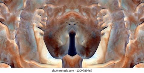 Sex Pussy Vulva Clitoris Vagina Orgasm Stock Photo 1309789969