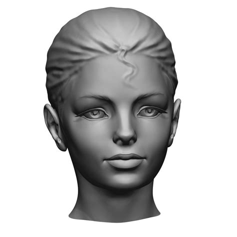 Beauty Head 3d Model Download For Free