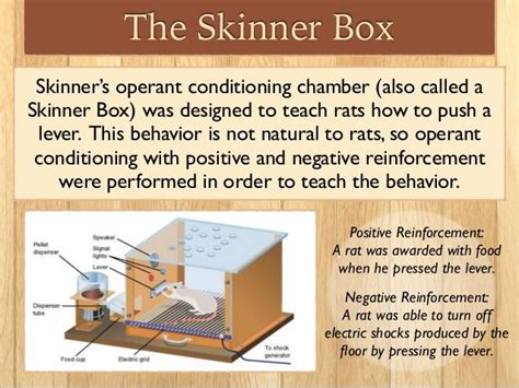 Skinner Used Operant Conditioning To Describe Kinley Has Everett
