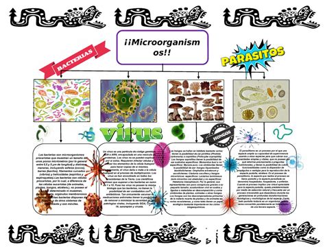 Mapa Conceptual De Microorganismos Bacterias Virus Paracitos Y Hongos