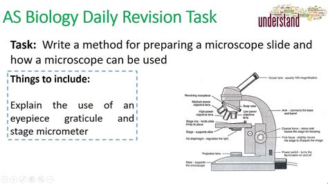 As Biology Daily Revision Task 2 Using A Microscope Youtube