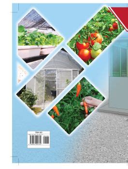Buku Teks RBT Tahun 6  viosjali Flip PDF  AnyFlip