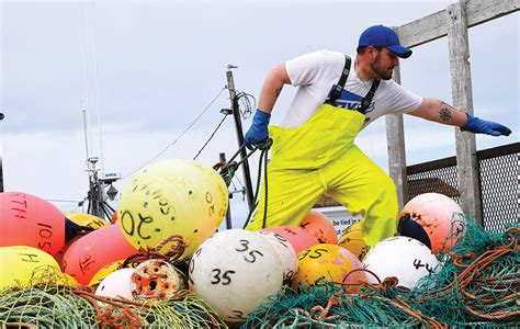 Lobster Season Ends In Southwest Nova Atlantic Fisherman