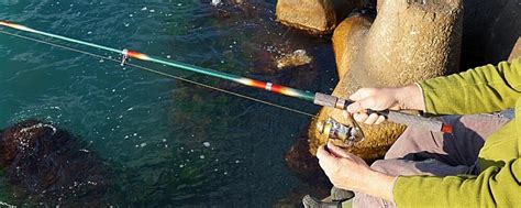 The Pflueger Supreme Xt Review Is It Worth Buying