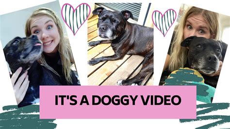 A Feel Good Video You Need To See Dog Vlog Youtube