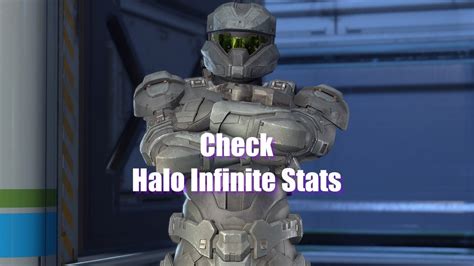 How To See Halo Infinite Stats And Kd Ratio In 2 Ways