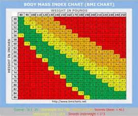 Top Bmi Calculator for Women over 50 Tips | by CCoursey67 ...