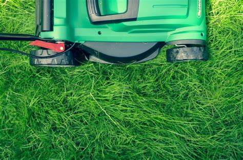 How To Market Your Lawn Care Service This Spring Better Housekeeper