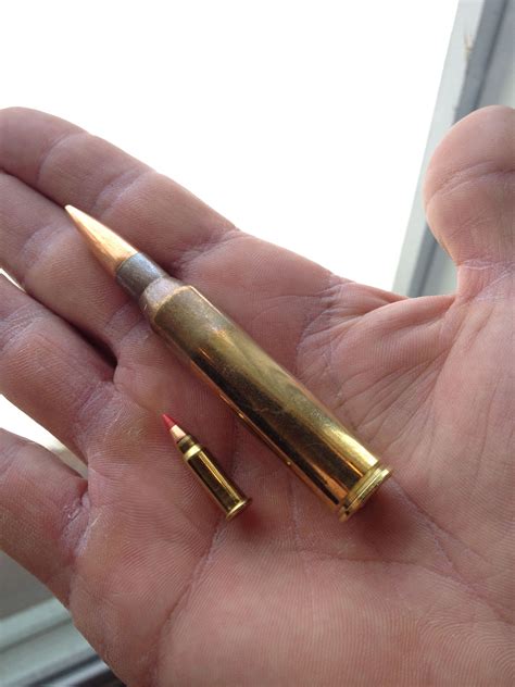 17 Hm2 And 338 Lapua