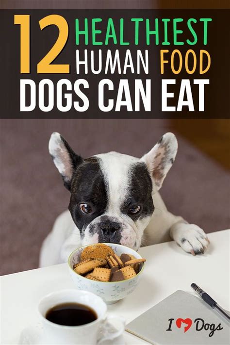 12 Healthy Human Foods Dogs Can Eat Dog Food Recipes Foods Dogs Can