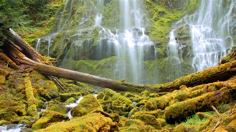 Photos Usa Alder Springs Oregon Hdri Nature Waterfalls 1920x1080