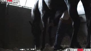 Search Videos For Mbs Series Stallion Breeding Farm Watch Mbs Series