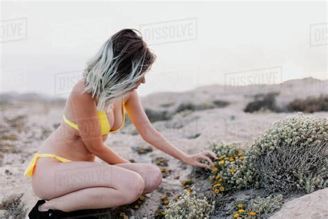 Woman In The Beach Wearing Yellow Swimsuit Stock Photo Dissolve