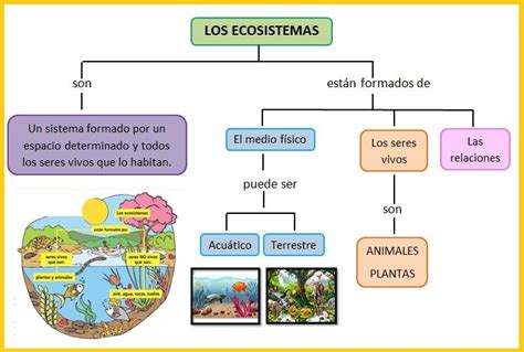 Mi Clase De Primaria Tema 4 Los Ecosistemas Ecosistemas Tipos De